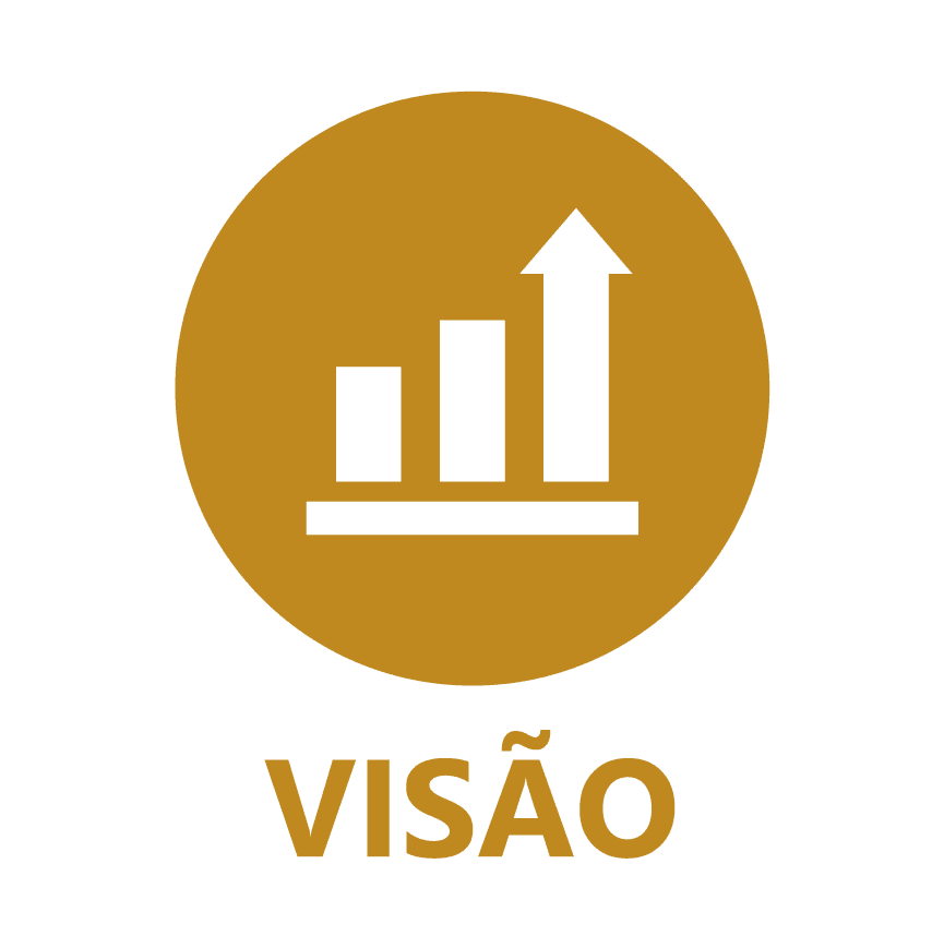 visao